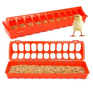 Datachable,Anti-Splash Chicks and Chicken, Quail Trough Feeder