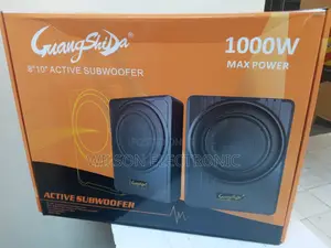 Guangshida Car Under Seat Subwoofer. 1000w
