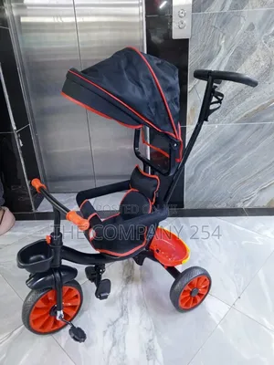 Push Tricycle With Canopy