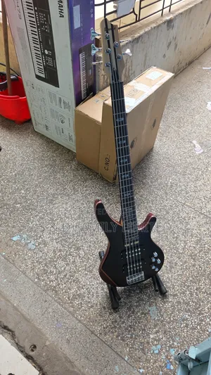 Active Bass Guitar