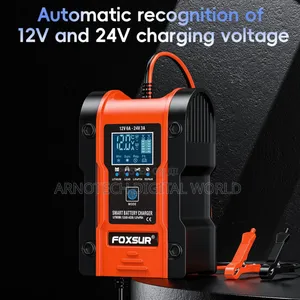 Foxsur Automatic 12v/24v LCD Pulse Repair Battery Charger
