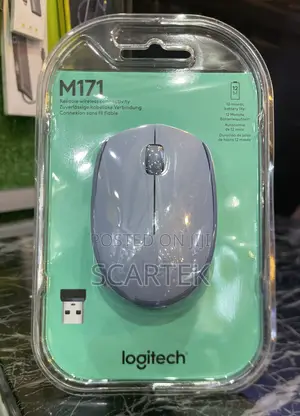 Logitech M171