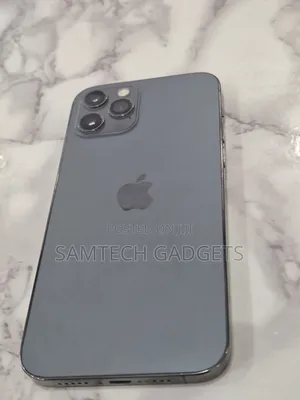 Apple iPhone 12 Pro 256 GB Gray