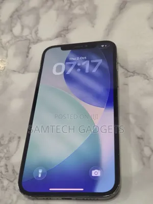 Apple iPhone 12 Pro 256 GB Gray