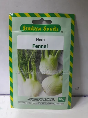 Fennel Herb Seeds 10 Grams