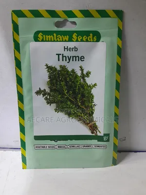 Thyme Herb Seeds 10 Grams