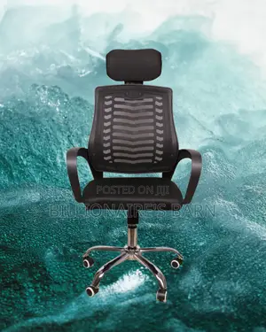 Orthopedic Secretarial Mesh Chair | Swivel Base