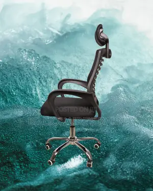 Orthopedic Secretarial Mesh Chair | Swivel Base