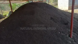 Sifted Vermicompost Urban Gardening