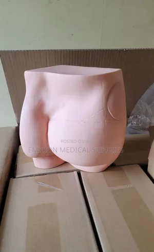 Hip Injection Model