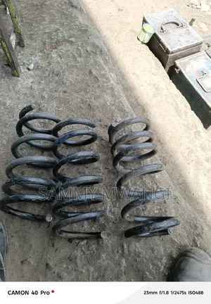 Toyota Voxy and Noah 2005 Rear Coil Spring