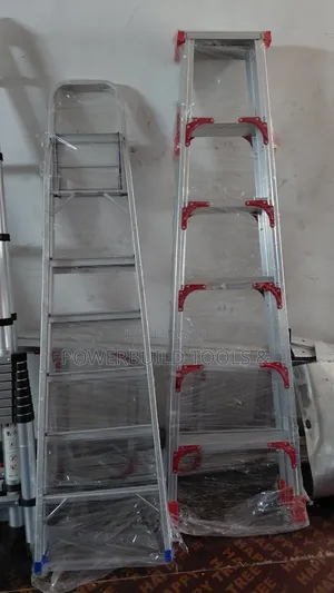 Dual Step Ladder