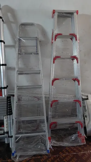 Dual Step Ladder