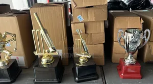 Professional Award Trophies – Fast Delivery