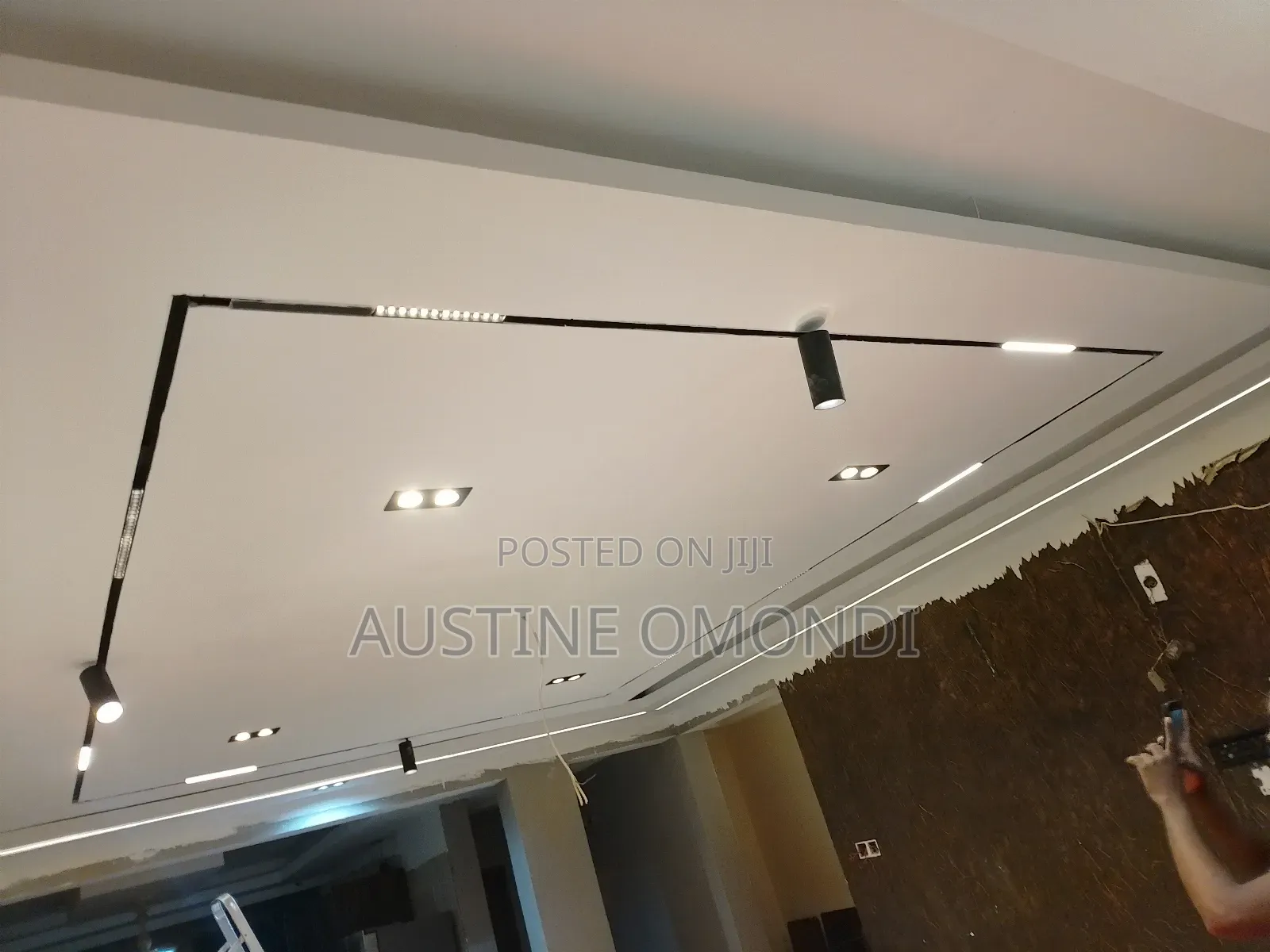 Professional Electrician