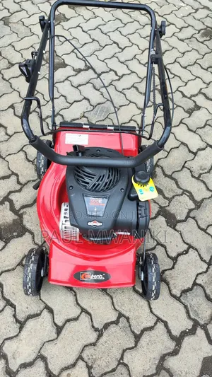 Lawn Mower