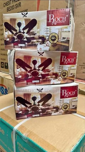 Roch 24inches Ceiling Fan