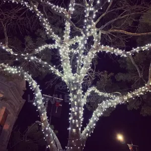 Christmas Lights