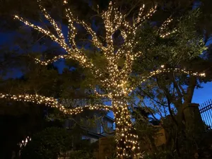 Christmas Lights