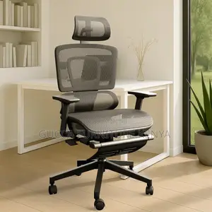 High Back Full Mesh Orthopedic Executive Office Chair