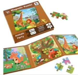 Magnetic Puzzle