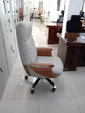 Luxury Reclining Boss Chair