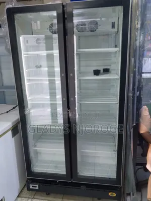 Well Maintained Double Door Display Fridge (1200l)