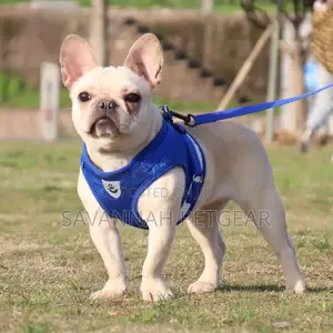 Polyester Mesh Dog Harness Leash Set (Xs,S,M,L,Xl)