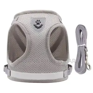 Polyester Mesh Dog Harness Leash Set (Xs,S,M,L,Xl)