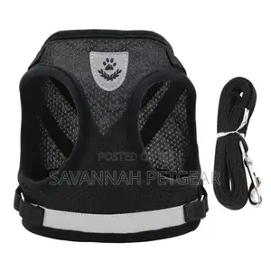 Polyester Mesh Dog Harness Leash Set (Xs,S,M,L,Xl)
