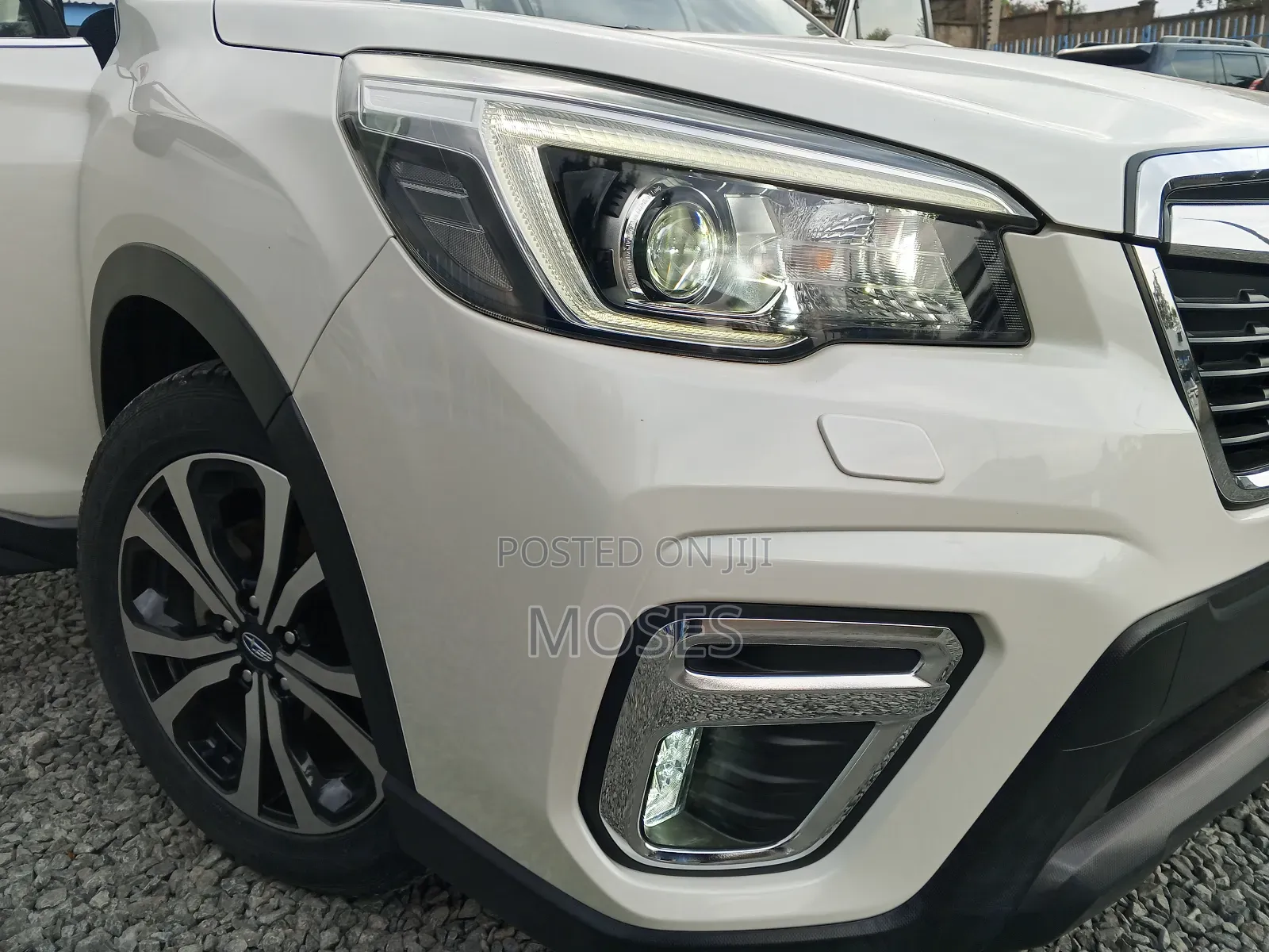 Subaru Forester 2019 Pearl
