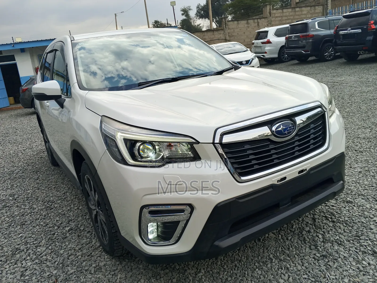 Subaru Forester 2019 Pearl