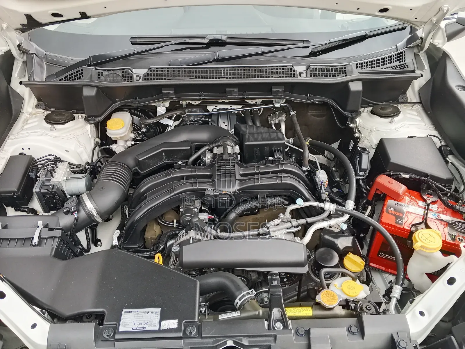 Subaru Forester 2019 Pearl