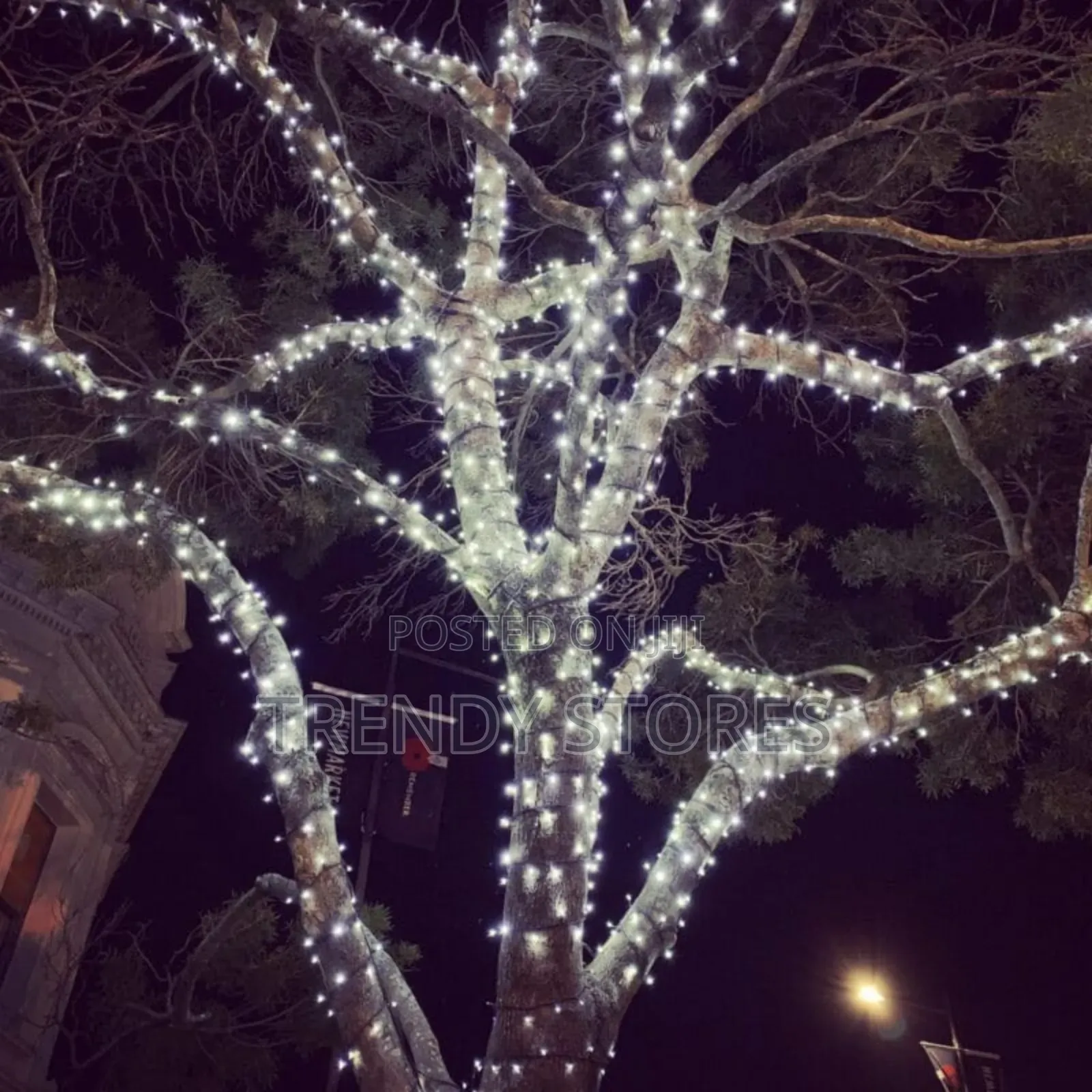 Christmas Lights