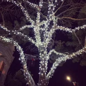 Christmas Lights