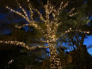 Christmas Lights