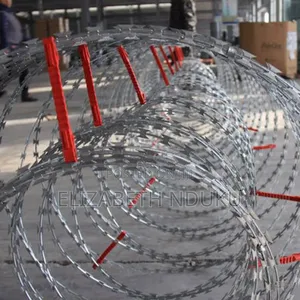 Military Razor Wires (Coiled)
