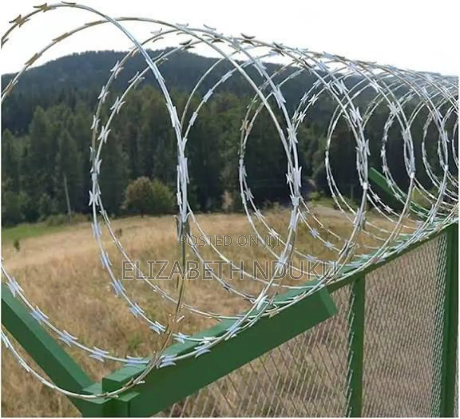 Virtual Deterrence ( Razor Wire)
