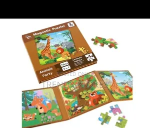 Magnetic Puzzle