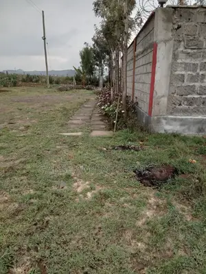Plot for Sale 50 by 100 Lukenya Machakos