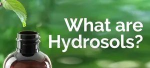 Hydrosol Available