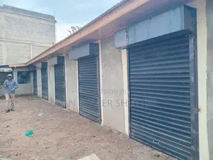 Hot Deal!Roller Shutter Door With Installation