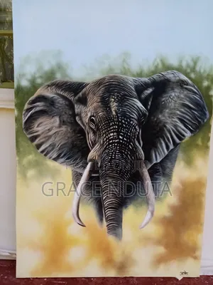 Wildlife, Landscapes and Portraits