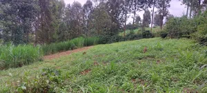 Land for Sale in Njiku 3km From Banana Town