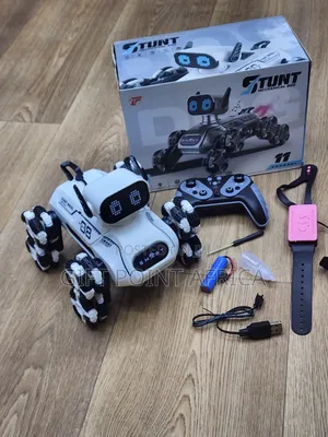New Mechanical Dog  Stunt Rechargeable R.C Toy Car For Kids