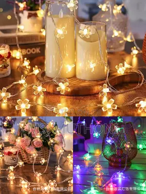 10 Meters Christmas Flower Shaped Led Lights Fairy With Remote*