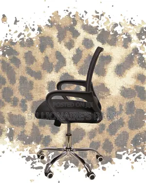 Secretarial Mesh Office Chair (Pro-Grade) — Price Drop Today