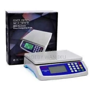 Portable Weighing Scale/Dt480 Digital Scale 30kgs