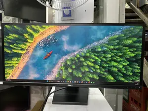 Dell U2913wm 29-Inch Ultra Wide