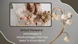 Dried Flowers